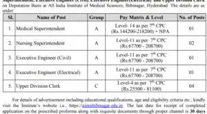 AIIMS Nursing and Medical Superintendent Job Opportunities with conditions